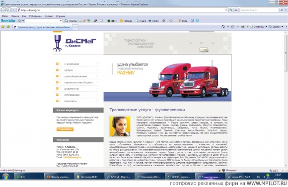  Образец портфолио - Интернет и мультимедиа. БРЭНД - Воронеж
