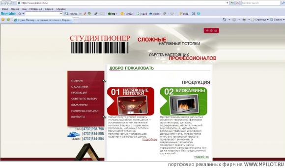  Образец портфолио - Интернет и мультимедиа. БРЭНД - Воронеж