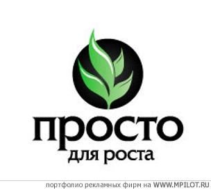  Образец портфолио - Нейминг. МЕТРОПОЛИЯ - Санкт-Петербург