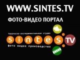 Логотип SINTES творческо-экспериментальная студия