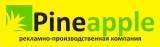 Логотип PineApple сувенирная продукция: корпоративные подарки.